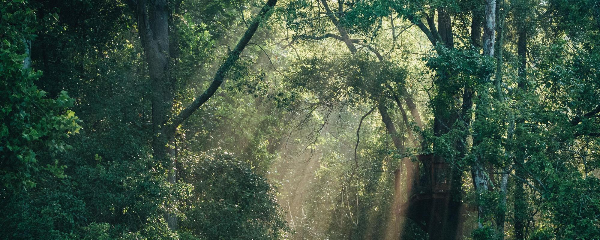 Directions Whitewater Center