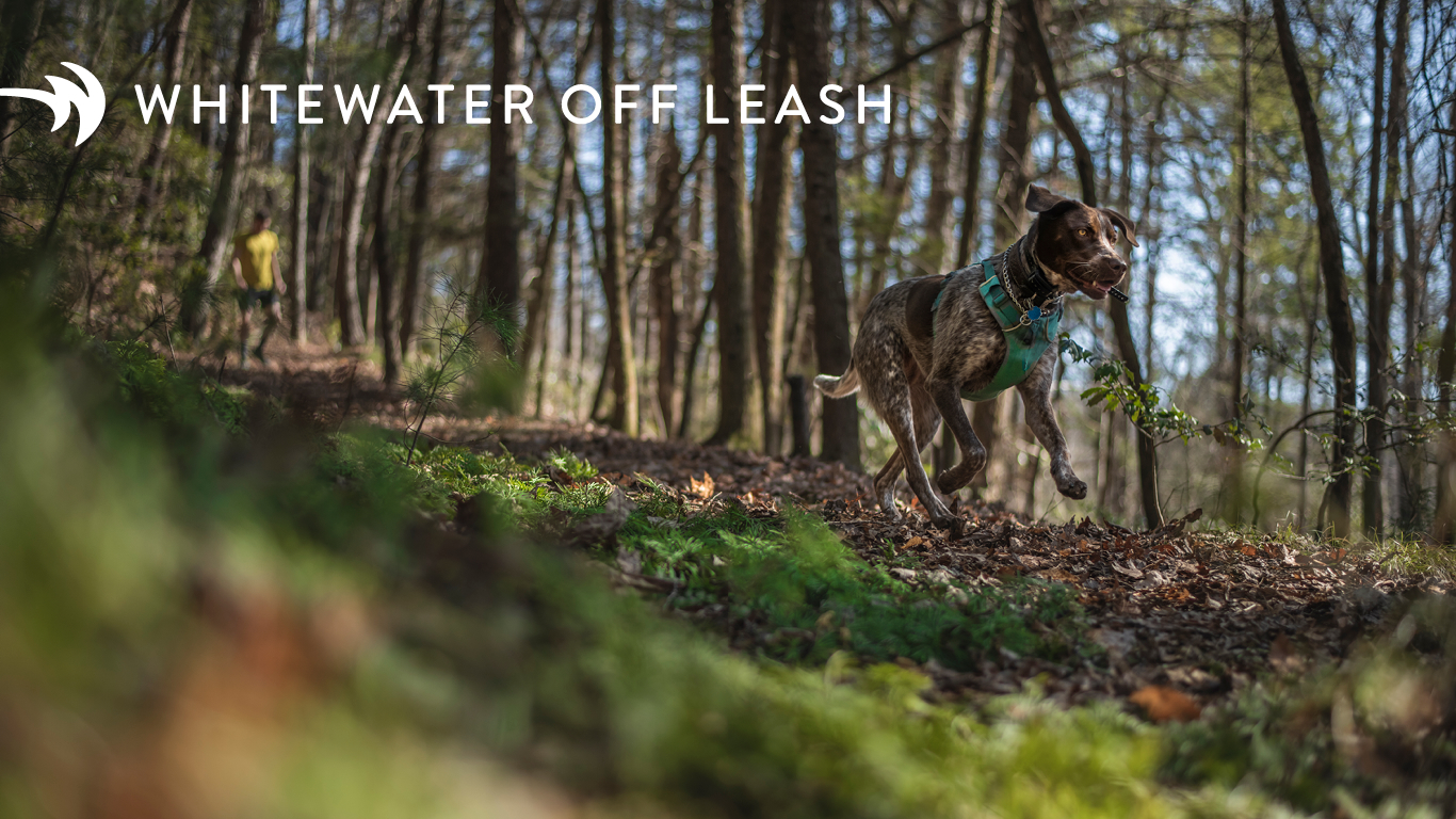 Whitewater Off Leash Whitewater Center